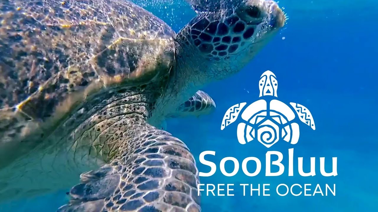 Load video: soobluu rpet travel towels